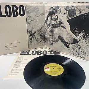 レコードサブ画像：3