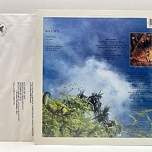レコードサブ画像：2