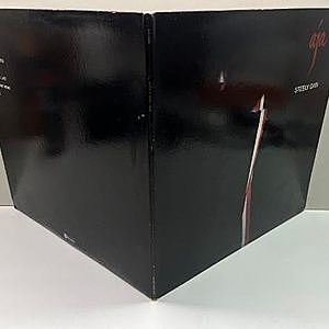 レコードサブ画像：2