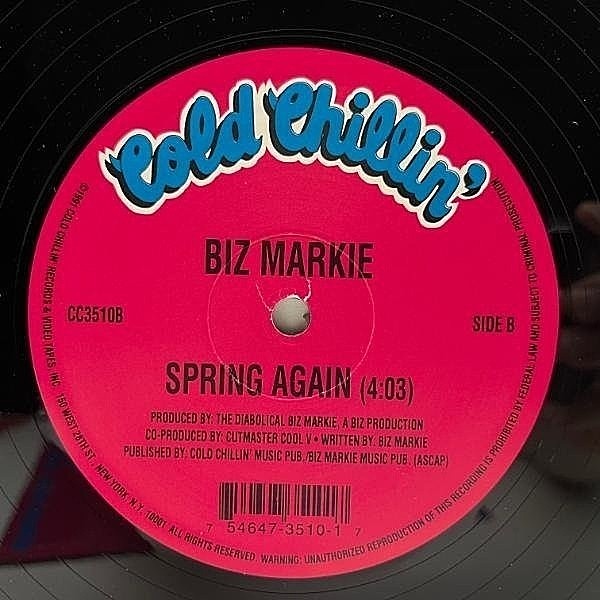 BIZ MARKIE / Let Me Turn You On / Spring Again (12) / Cold