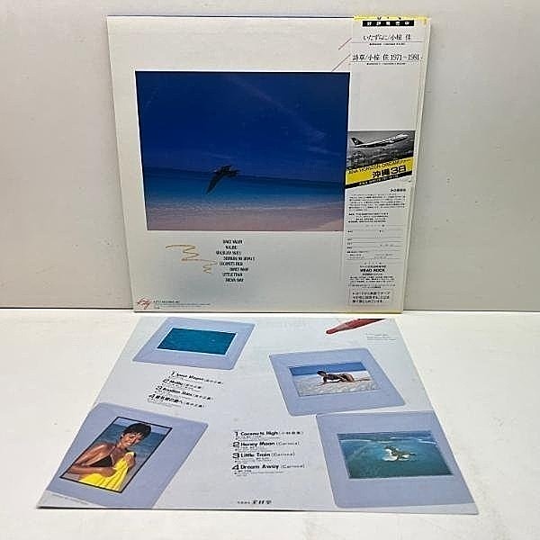 高中正義 / HORIZON DREAM | sixteen records (シックスティーン