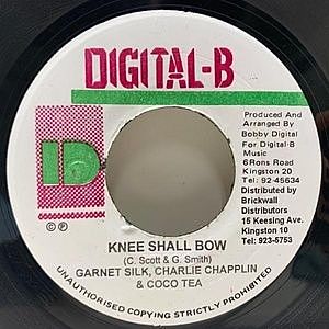 レコードサブ画像：1