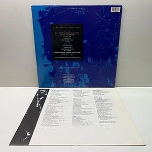 レコードサブ画像：2
