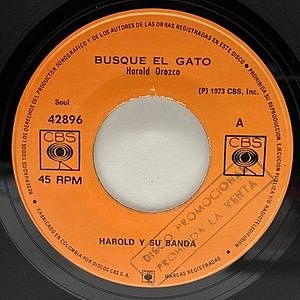 レコードサブ画像：1