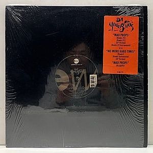 レコードサブ画像：1