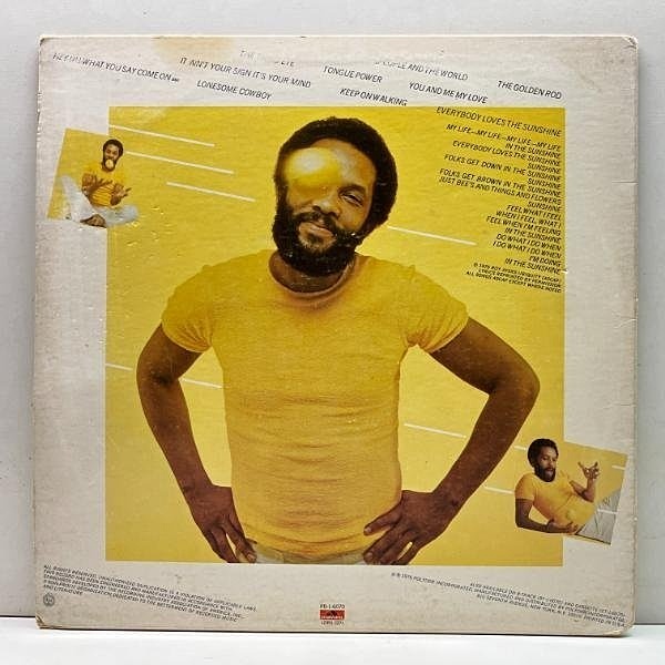 ROY AYERS / Everybody Loves The Sunshine (LP) / Polydor