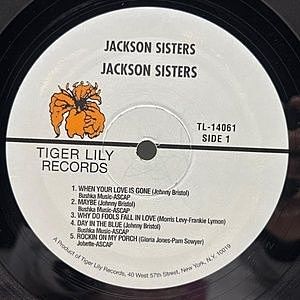 レコードサブ画像：3