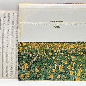 レコードサブ画像：2
