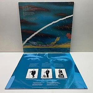 レコードサブ画像：2