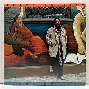 レコード画像：TERRY CALLIER / Fire On Ice