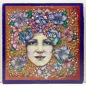 レコード画像：IRENE KRAL / Kral Space