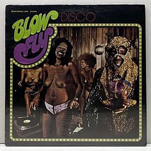 レコード画像：BLOWFLY / Disco