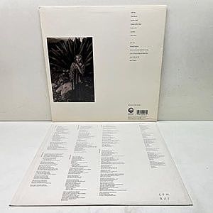 レコードサブ画像：2