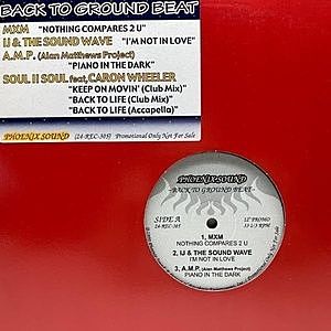レコード画像：VARIOUS / Back To Ground Beat
