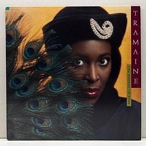 レコード画像：TRAMAINE / The Search Is Over