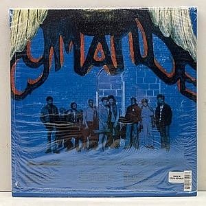 レコードサブ画像：2