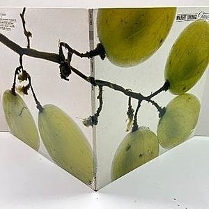 レコードサブ画像：2