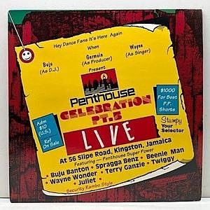 レコード画像：VARIOUS / Penthouse Celebration Pt. 5 : Live At Slipe Road