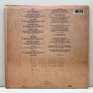 レコードサブ画像：2