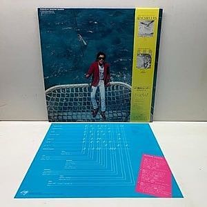 レコードサブ画像：2