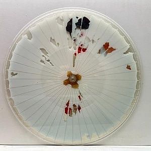 レコードサブ画像：3