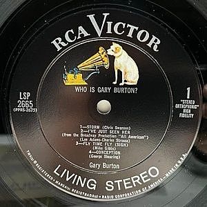 レコードサブ画像：3