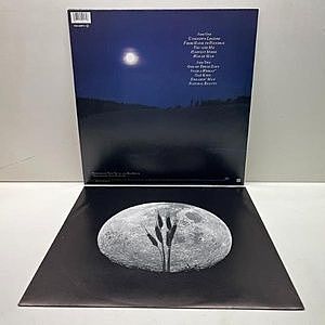 レコードサブ画像：2