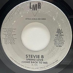 レコード画像：STEVIE B / Spring Love (Come Back To Me)