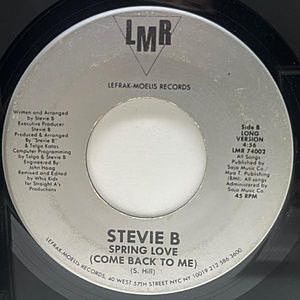 レコードサブ画像：2