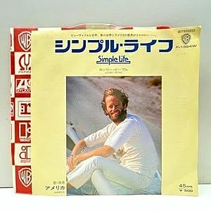 レコード画像：AMERICA / Simple Life