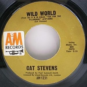 CAT STEVENS 入手困難　激レアCD 輸入盤 CAT STEVENS 入手困難 激レアCD 輸入盤 - 洋楽お 手頃 価格