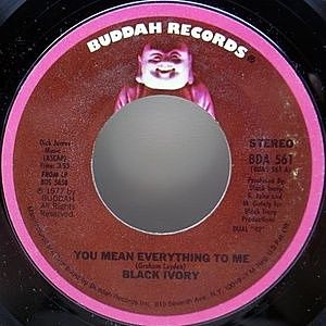 レコード画像：BLACK IVORY / You Mean Everything To Me / White Wind