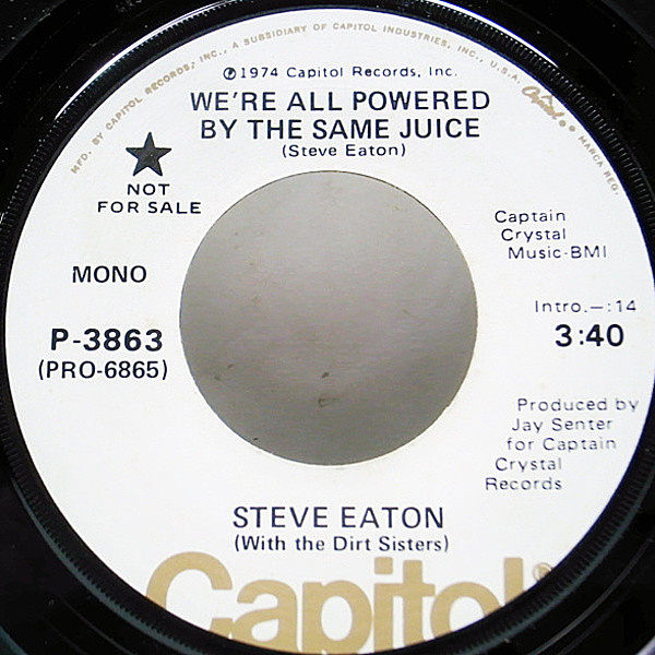 レコードメイン画像：レア・プロモ・オンリー MONO／STEREO 7 オリジナル STEVE EATON We're All Powered By The Same Old Juice 米SSW AOR MELLOW FOLK