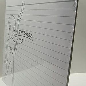 TORTOISE STANDARDS 激レア オリジナル レコード