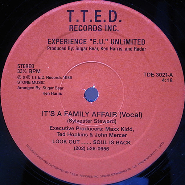 レコードメイン画像：12 EXPERIENCE E.U. UNLIMITED It's A Family Affair ('86 T.T.E.D.) Sly & The Family Stone 名曲 GO-GOカヴァー TOKYO NO1 SOUL SET ネタ