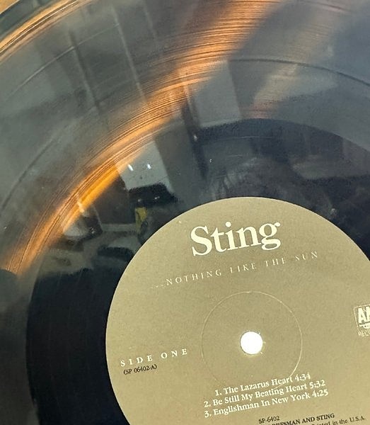 Sting Nothing Like The Sun レコード Sting – Nothing Like The Sun – 2 x Vinyl (LP, Album