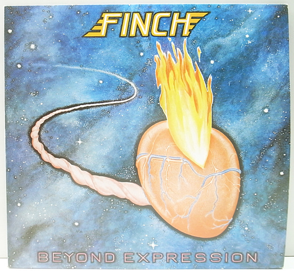 FINCH / Beyond Expression (LP) / Negram | WAXPEND RECORDS