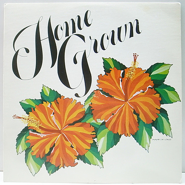 レコードメイン画像：HAWAIIAN SOUL AOR FOLK!! オリジナル HOME GROWN II 2 ('77 KKUA) Nohelani Cypriano ほか 専用インナー＆インサート完品