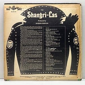 レコードサブ画像：2