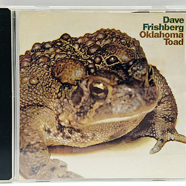 レコードメイン画像：DAVE FRISHBERG Oklahoma Toad ('99 Vivid Sound Corporation) デイヴ・フリッシュバーグ／オクラホマトード CD 帯付 マーゴ・ガーヤン