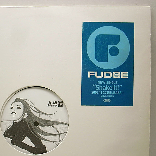 レコードメイン画像：非売品 プロモオンリー 12インチ FUDGE Shake It! ('02 Epic) 須永辰緒 Remix シティ・ポップ CITY POP