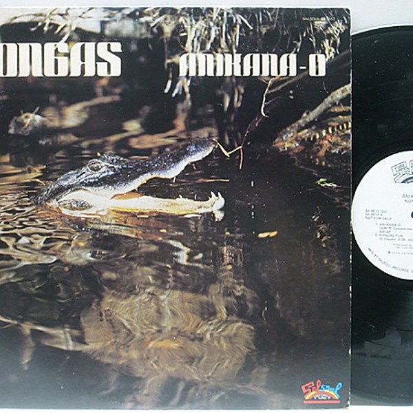 レコードメイン画像：プロモ 美品 USオリジナル KONGAS Anikana-O ('78 Salsoul) コンガス Anikana-O 収録 アフリカン・ディスコ WHITE PROMO LP
