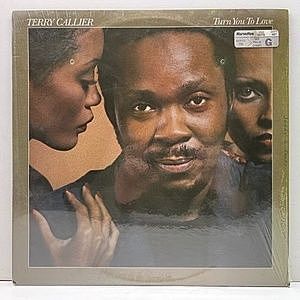 レコード画像：TERRY CALLIER / Turn You To Love