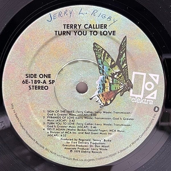 TERRY CALLIER / Turn You To Love (LP) / Elektra | WAXPEND RECORDS