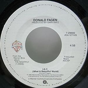 ◾️高音質️USオリジナルカッティング盤/歴史的名盤◾️DONALD FAGEN / DONALD FAGEN / I.G.Y. (7) / Warner Bros. | WAXPEND RECORDS