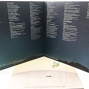 レコードサブ画像：3