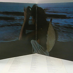 レコードサブ画像：3