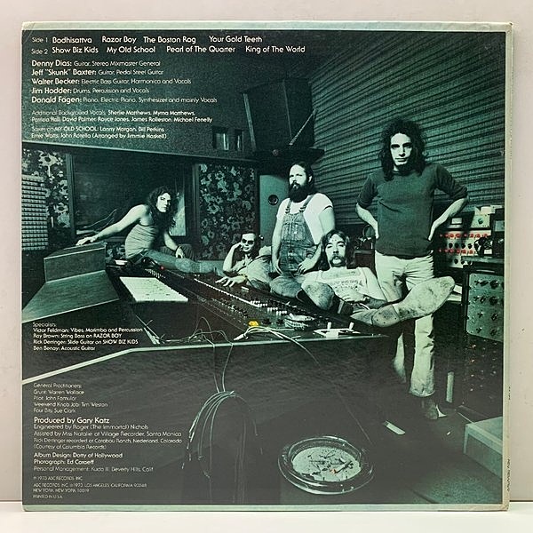 Steely Dan / スティーリー・ダン / LP (レコード) | 大須