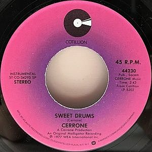 レコードサブ画像：2