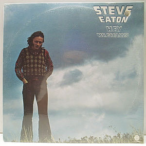 レコード画像：STEVE EATON / Hey Mr. Dreamer